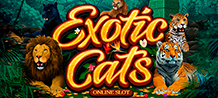 <div>Take a trip through the jungle and meet fascinating exotic cats that will surprise you. Join Lions, tigers, panthers, leopards and pumas and win incredible prizes and many free spins. With special effects and a soundtrack that will make your imagination travel, you'll be ecstatic with this Slot! <br/>
</div>
<div>Come and have fun in this 5-reel game and know up to 243 ways to win! </div>